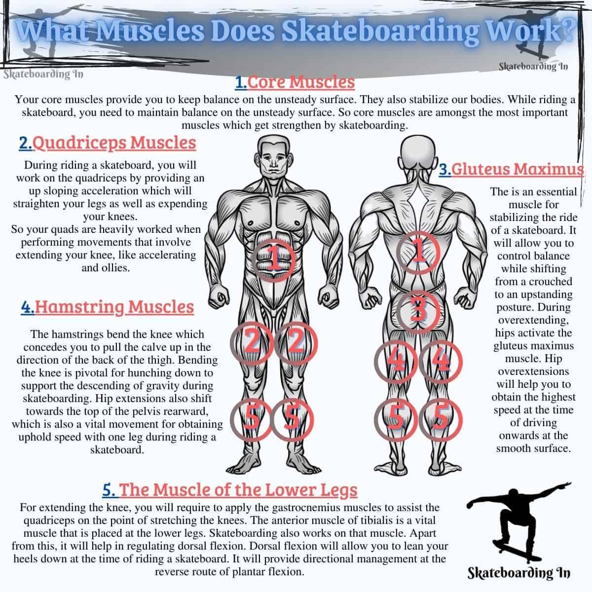 What Muscles Does Skateboarding Work